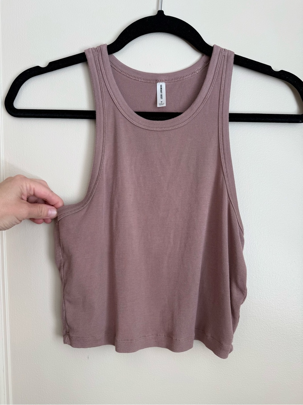 Aritzia Sunday Best Ribbed Crop Top